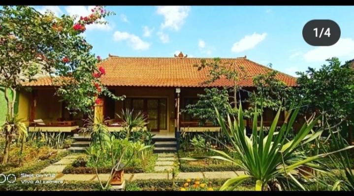 Pomelo Guest House Ουμπούντ Εξωτερικό φωτογραφία